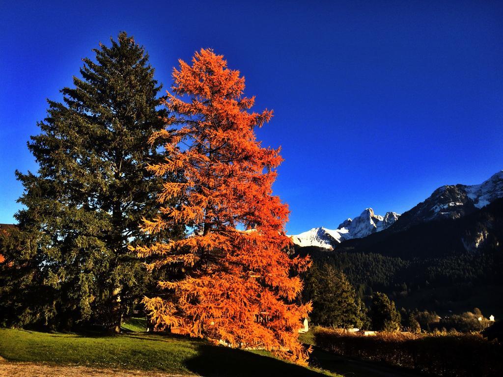 Family B&B Le Vieux Chalet Chateau-d'Oex Luaran gambar