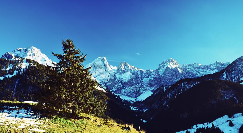 Family B&B Le Vieux Chalet Chateau-d'Oex Luaran gambar